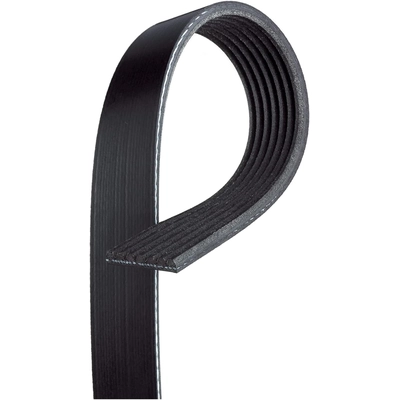 GATES - K070460 - Serpentine Belt pa1