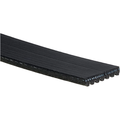 GATES - K070460 - Serpentine Belt pa2