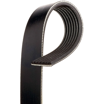 GATES - K070491EST - Serpentine Belt pa1