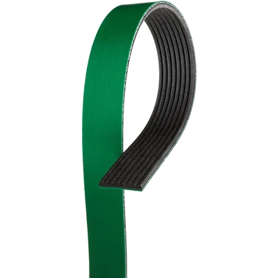 GATES - K080665HD - Serpentine Belt pa1