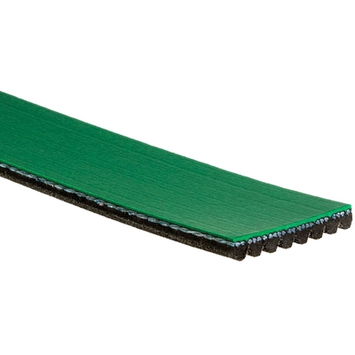 GATES - K080828HD - Serpentine Belt pa2