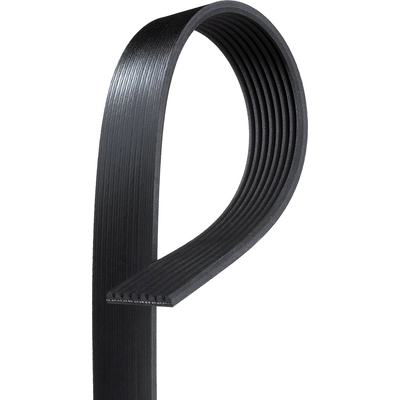 GATES - K081294 - Serpentine Belt pa1
