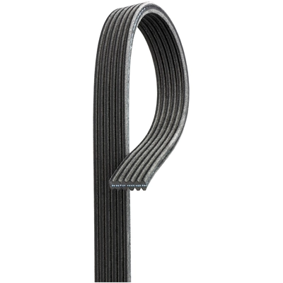 GATES - DK060470 - Serpentine Belt pa3