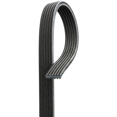 Serpentine Belt by GATES - DK060504 pa5