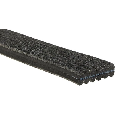 Serpentine Belt by GATES - DK060674 pa6