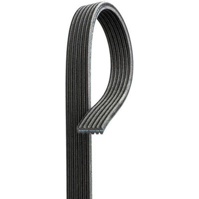 Serpentine Belt by GATES - DK060901 pa5