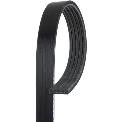 Serpentine Belt by GATES - K050365 pa6