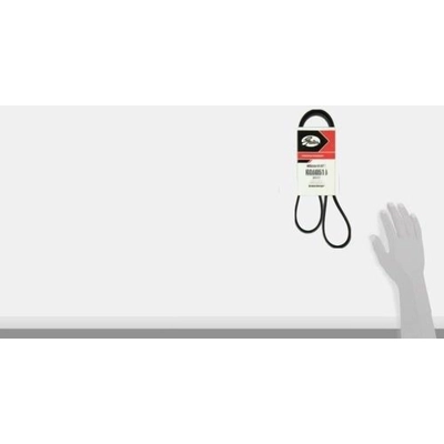 Serpentine Belt by GATES - K060516 pa5