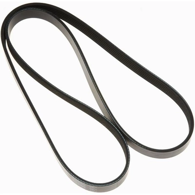 GATES - K060612 - Serpentine Belt pa6