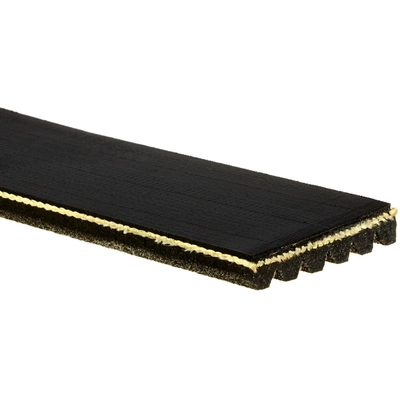 Serpentine Belt by GATES - K060874A pa8