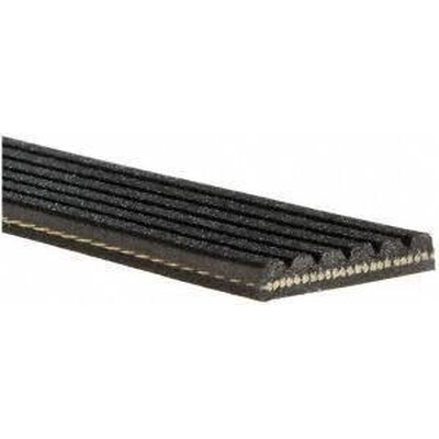 GATES - K061033RPM - Serpentine Belt pa2