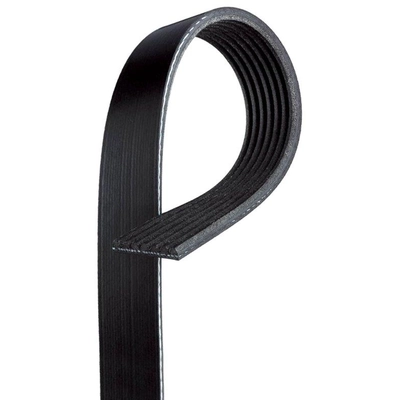 Courroie serpentine de GATES - K070415 pa10
