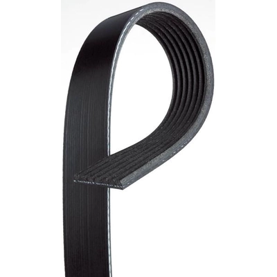 Serpentine Belt by GATES - K070508 pa4
