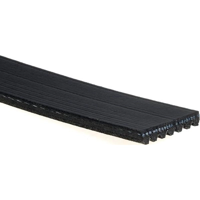 Serpentine Belt by GATES - K070786 pa6