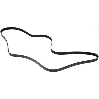 GATES - K070886 - Serpentine Belt pa6