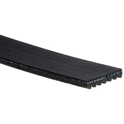 Serpentine Belt by GATES - K070903 pa10