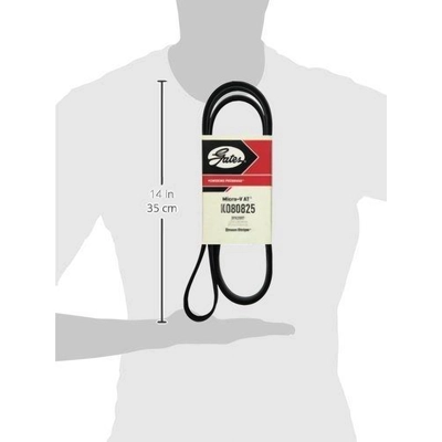 Serpentine Belt by GATES - K080825 pa10