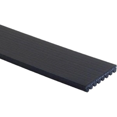 Serpentine Belt by GATES - K081253 pa6