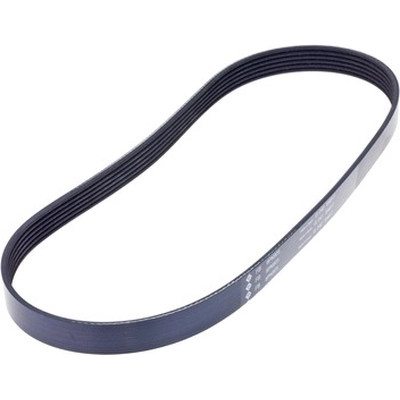 Serpentine Belt by INA - FB6K356 pa1