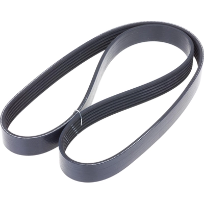 Serpentine Belt by INA - FB6K421 pa1