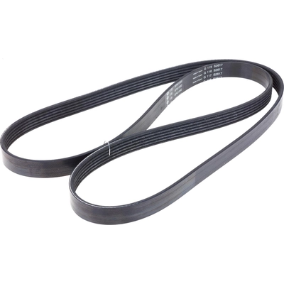 Serpentine Belt by INA - FB6K626 pa1