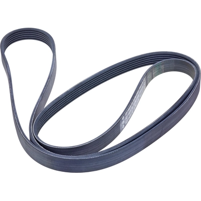 Serpentine Belt by INA - FB6K848 pa1