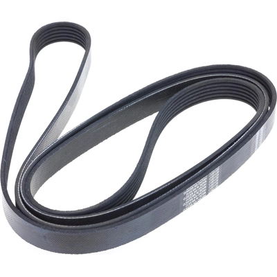 Serpentine Belt by INA - FB6K950 pa1
