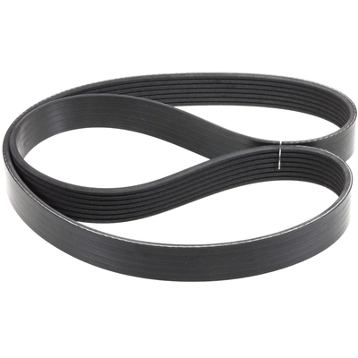 INA - FB7K443 - Serpentine Belt pa1