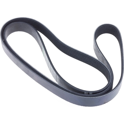 INA - FB7K610 - Serpentine Belt pa1