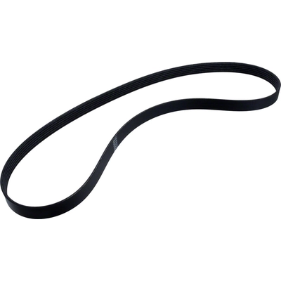 Serpentine Belt by MOTORCRAFT - JA658 pa1
