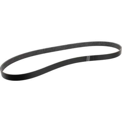 Serpentine Belt by MOTORCRAFT - JA661 pa1