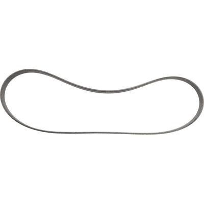 Serpentine Belt by MOTORCRAFT - JA661 pa2