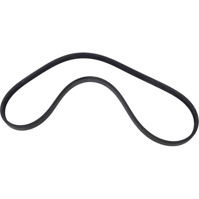 Serpentine Belt by MOTORCRAFT - JA662 pa1