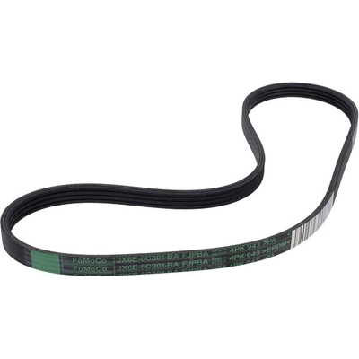 Serpentine Belt by MOTORCRAFT - JA662 pa2