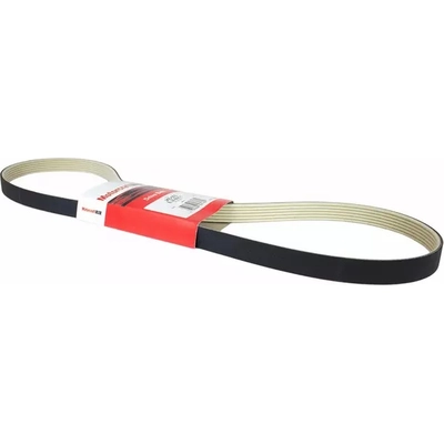 Serpentine Belt by MOTORCRAFT - JA663 pa2