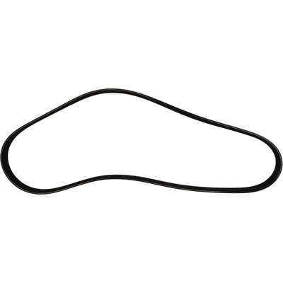 MOTORCRAFT - JK4-372 - Serpentine Belt pa1