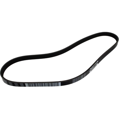 MOTORCRAFT - JK4-372 - Serpentine Belt pa2