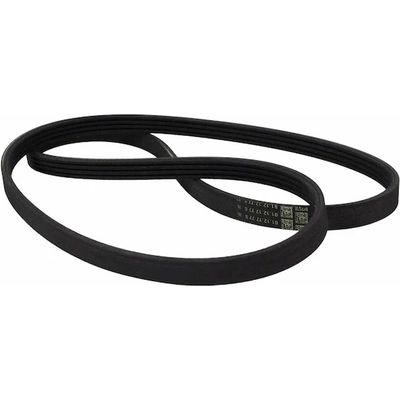 Serpentine Belt by MOTORCRAFT - JK4-533 pa2