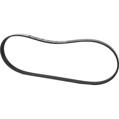 MOTORCRAFT - JK5-382A - Serpentine Belt pa1