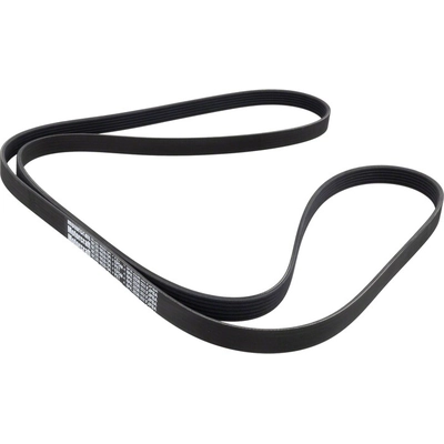 Serpentine Belt by MOTORCRAFT - JK6-1004B pa8