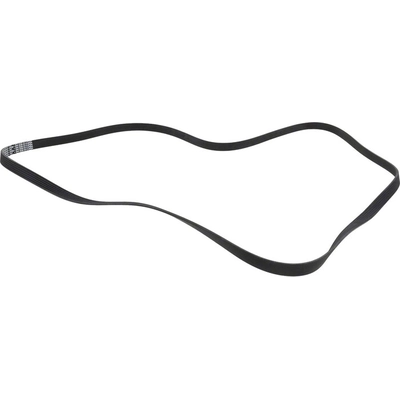 Serpentine Belt by MOTORCRAFT - JK6-1004B pa9