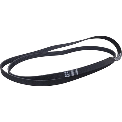 Serpentine Belt by MOTORCRAFT - JK6-1013B pa6