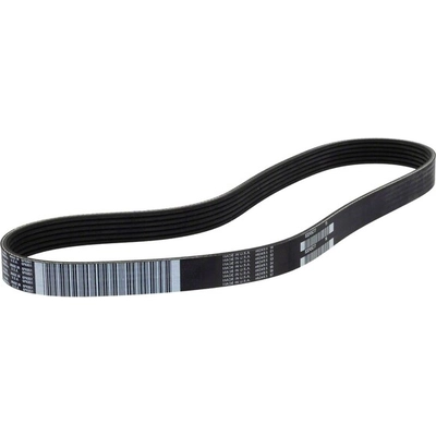 Serpentine Belt by MOTORCRAFT - JK6-342B pa7