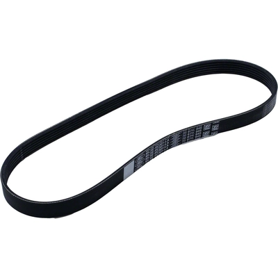 Serpentine Belt by MOTORCRAFT - JK6-377 pa2