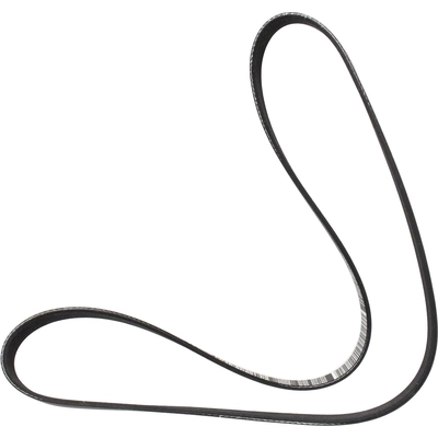 MOTORCRAFT - JK6-480B - Serpentine Belt pa1