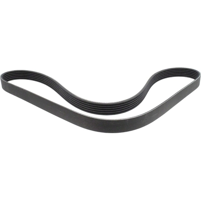 MOTORCRAFT - JK6-480B - Serpentine Belt pa2
