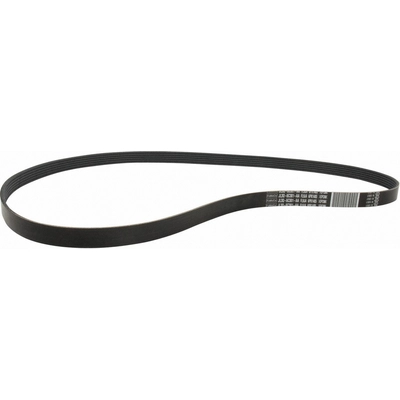 Serpentine Belt by MOTORCRAFT - JK6-591 pa1