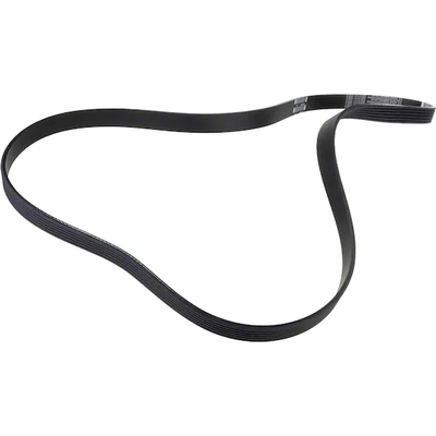 MOTORCRAFT - JK6-645 - Serpentine Belt pa8