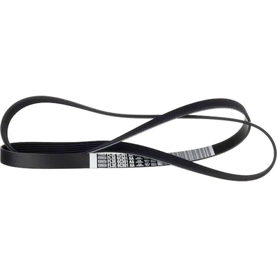 Serpentine Belt by MOTORCRAFT - JK6-695 pa8