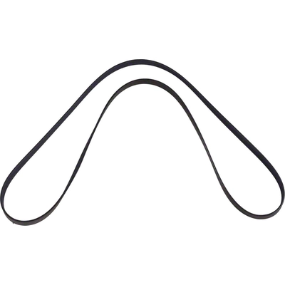 MOTORCRAFT - JK6-805 - Serpentine Belt pa1